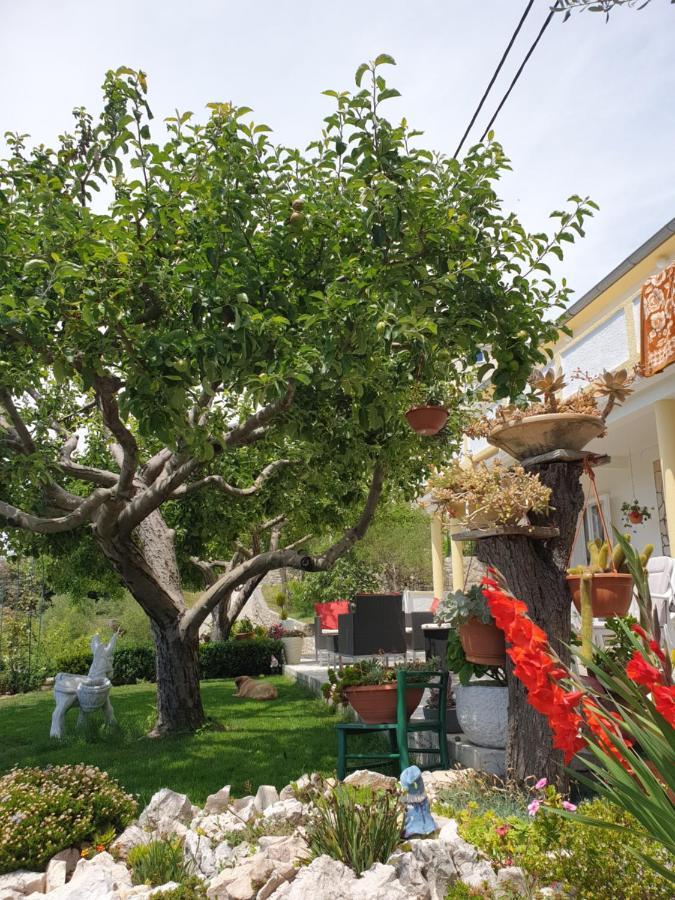 Apartmani I Sobe Jusic Rab Town Exterior photo